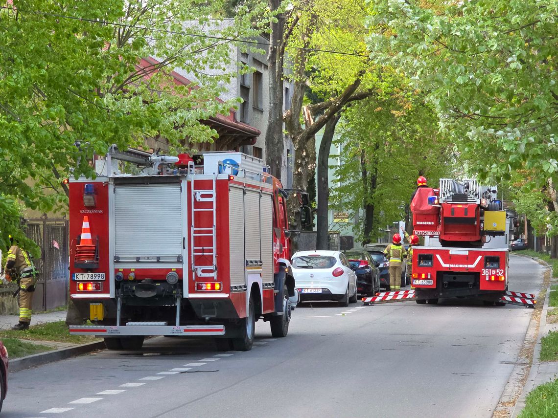 18 interwencji straży pożarnej po silnym wietrze w Tarnowie i powiecie