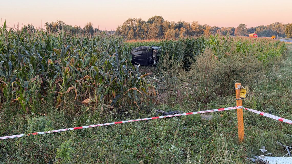 BMW dachowało w polu kukurydzy w Dąbrowie Tarnowskiej. Dwóch mężczyzn trafiło do szpitala BMW dachowało w polu kukurydzy w Dąbrowie Tarnowskiej. Dwóch mężczyzn trafiło do szpitala