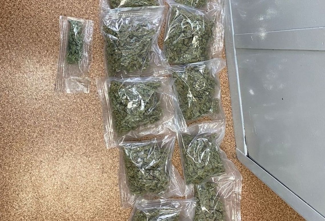 Brzescy policjanci zabezpieczyli ponad kilogram marihuany