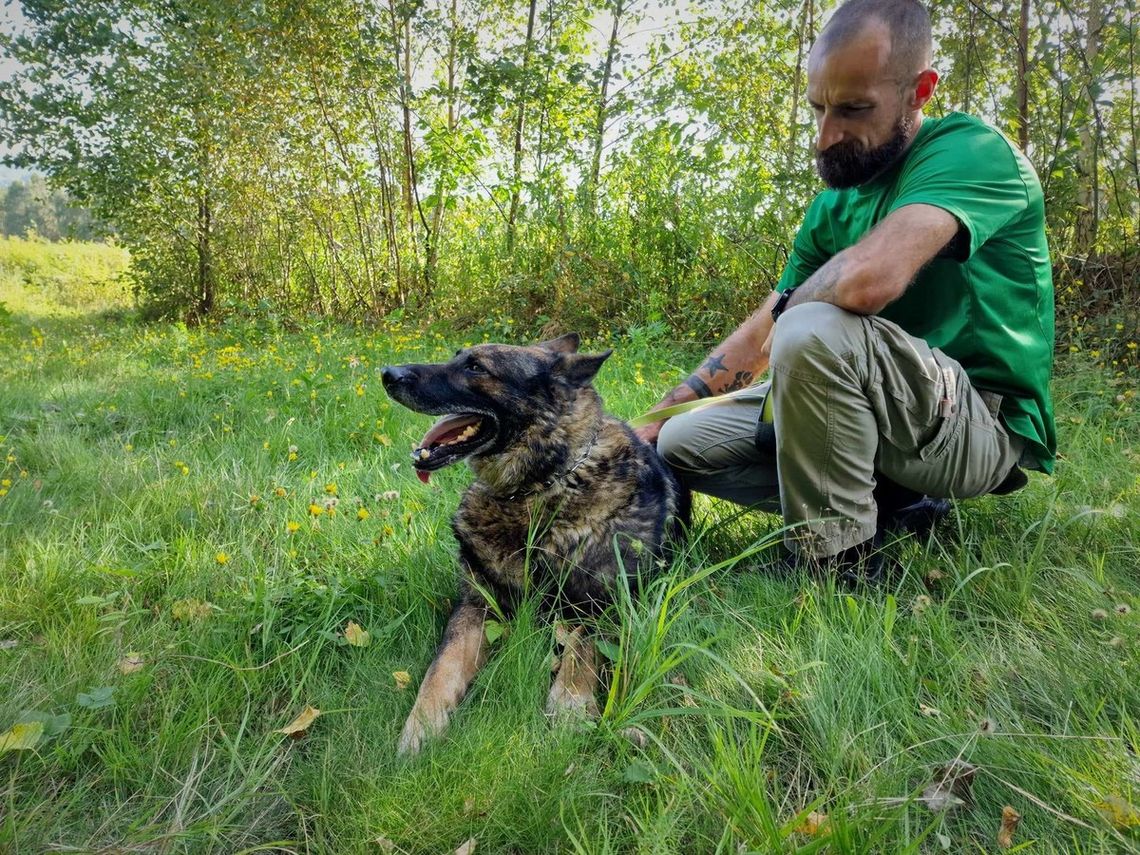 Czworonożny policjant z tarnowskiej komendy na emeryturze