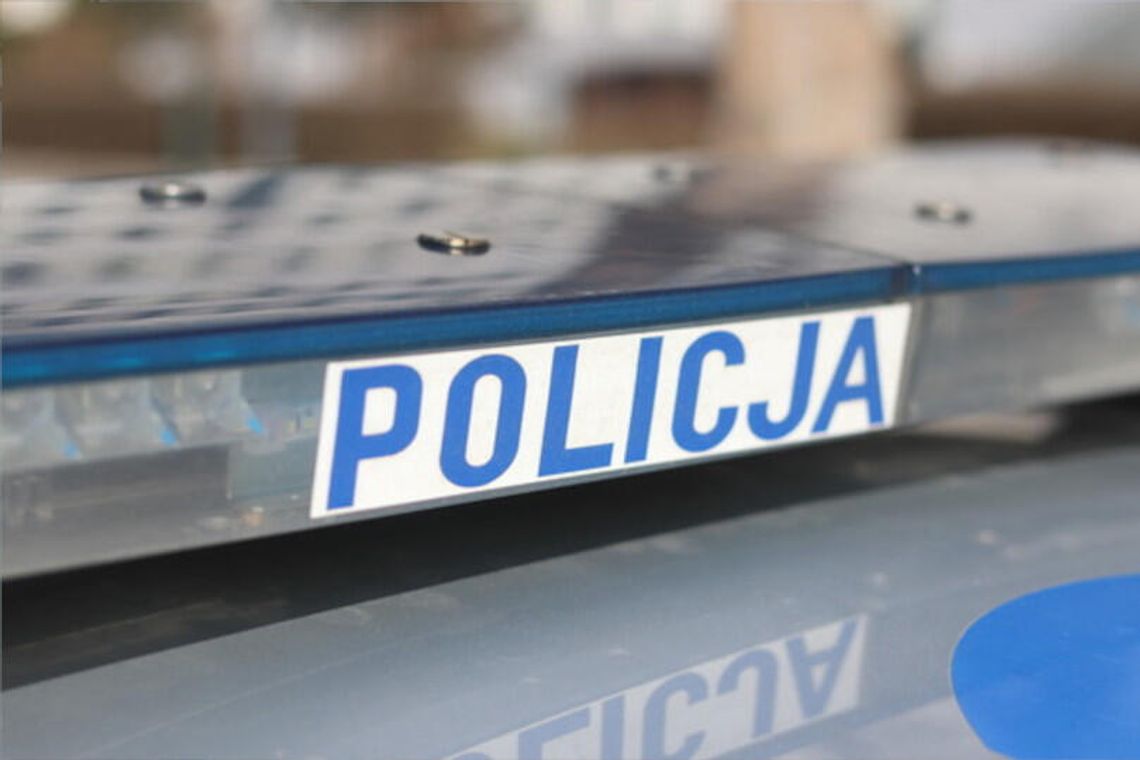 Dąbrowscy Policjanci zabezpieczyli krzewy marihuany