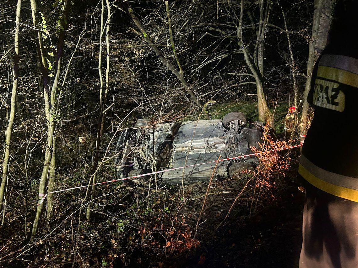 Dachowanie samochodu w Zalasowej. Pojazd w zaroślach