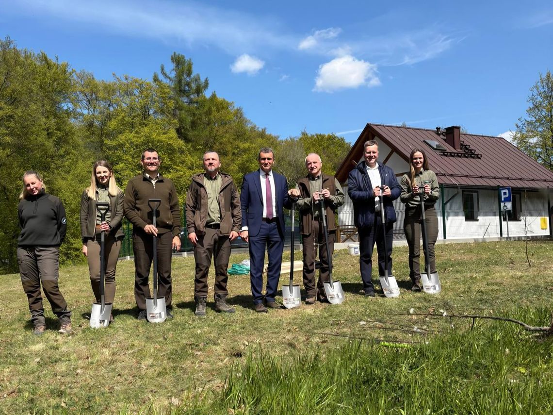 Garnitury w błocie i drzewa w ziemi. Nietypowa akcja pod Tarnowem przyciągnęła uwagę mieszkańców