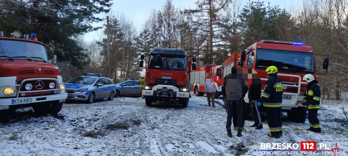 Kobieta przygnieciona przez drzewo w lesie. Na miejscu strażacy z dwóch powiatów