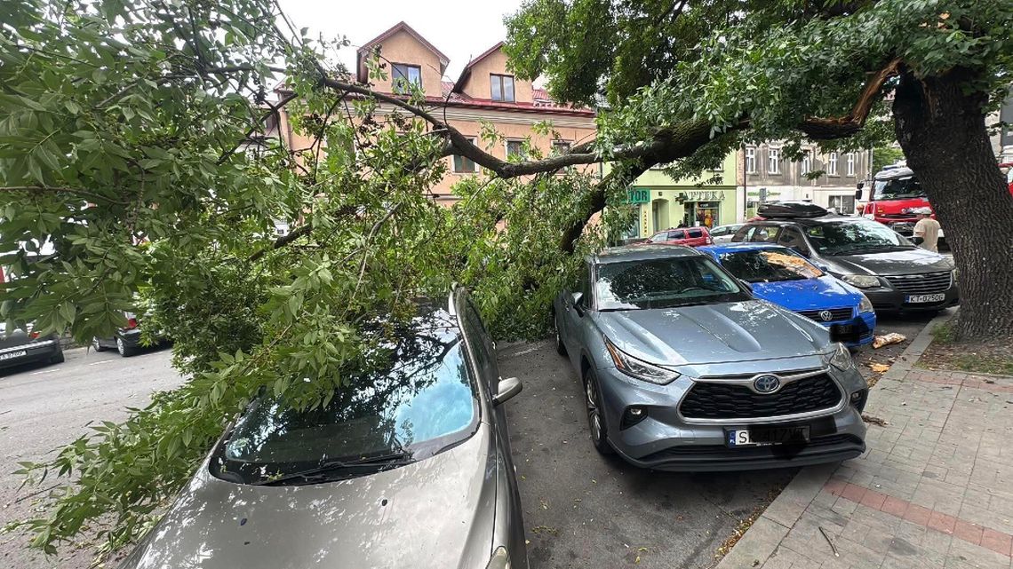 Konar drzewa spadł na samochody przy ul. Targowej w Tarnowie Konar drzewa spadł na samochody przy ul. Targowej w Tarnowie