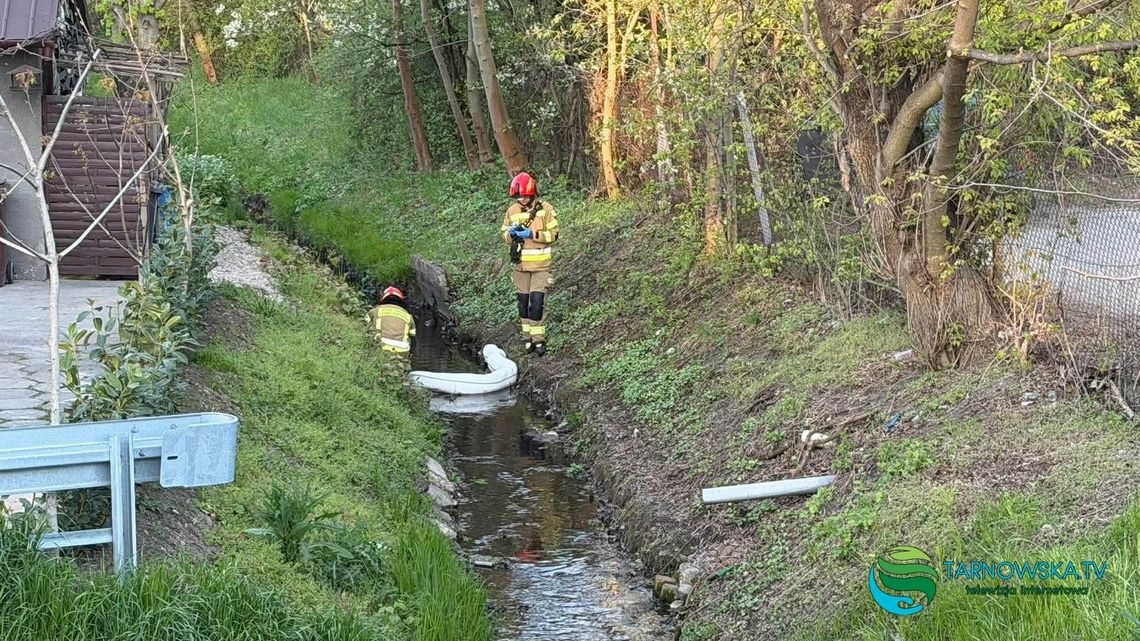 Nieznana substancja w potoku Strusinka. Akcja służb w Tarnowie