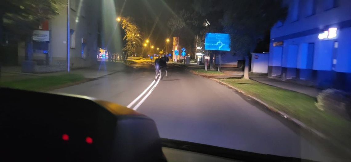 Po Tarnowie przechadzał się łoś. Policja pilnowała bezpieczeństwa mieszkańców i zwierzęcia