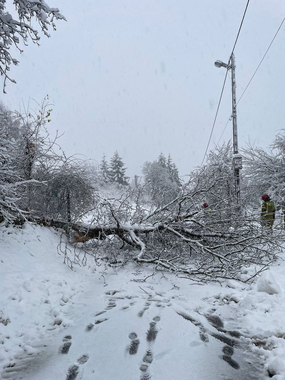 Podkarpacie bez prądu, nawet 109 tysięcy gospodarstw. Problemy na kolei, zmieniono trasę IC Wetlina