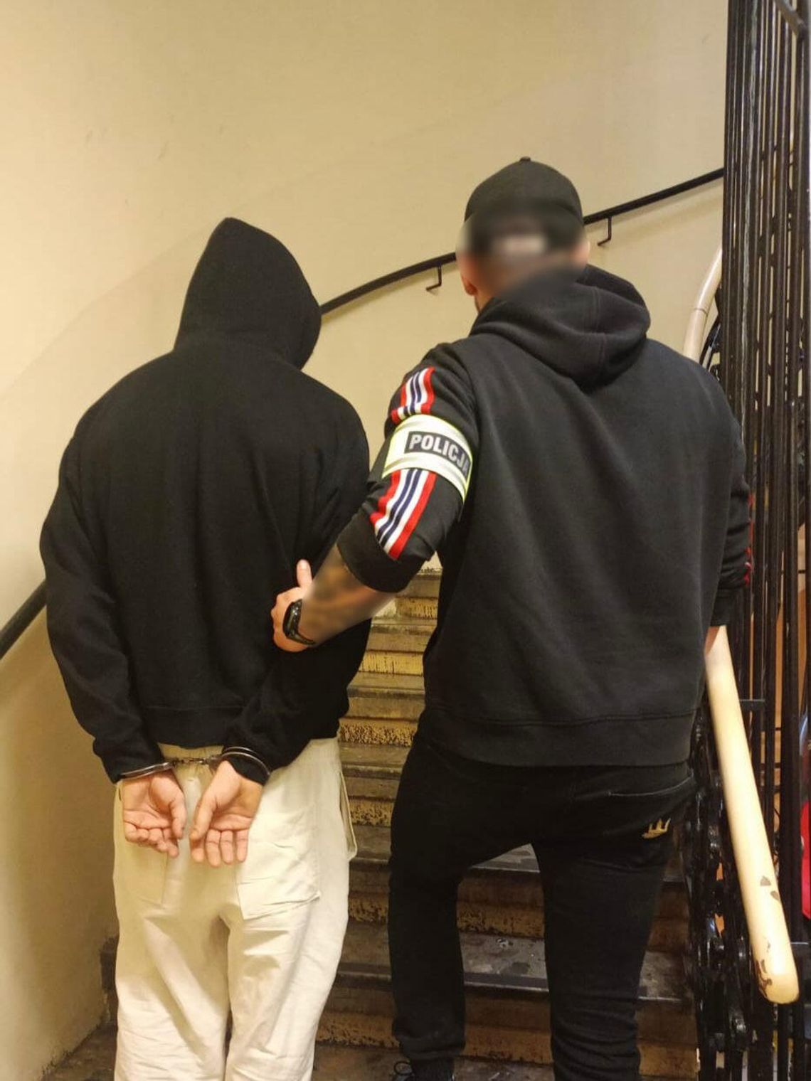 Policjanci zatrzymali podejrzewanego o okaleczenie królika. Mężczyźnie grozi nawet 3 lata więzienia