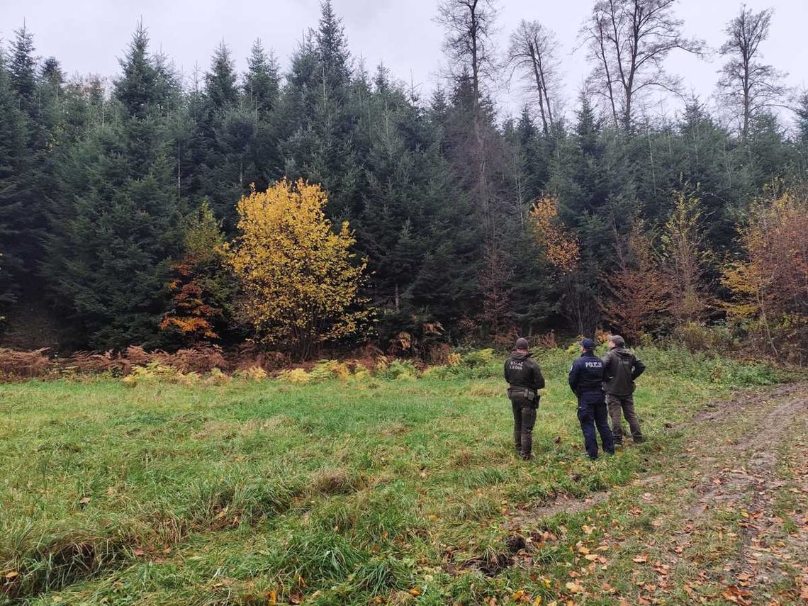 Policyjno-leśne patrole w gminie Tarnów. Kontrole terenów leśnych i zatrzymanie motocyklisty Policyjno-leśne patrole w gminie Tarnów. Kontrole terenów leśnych i zatrzymanie motocyklisty