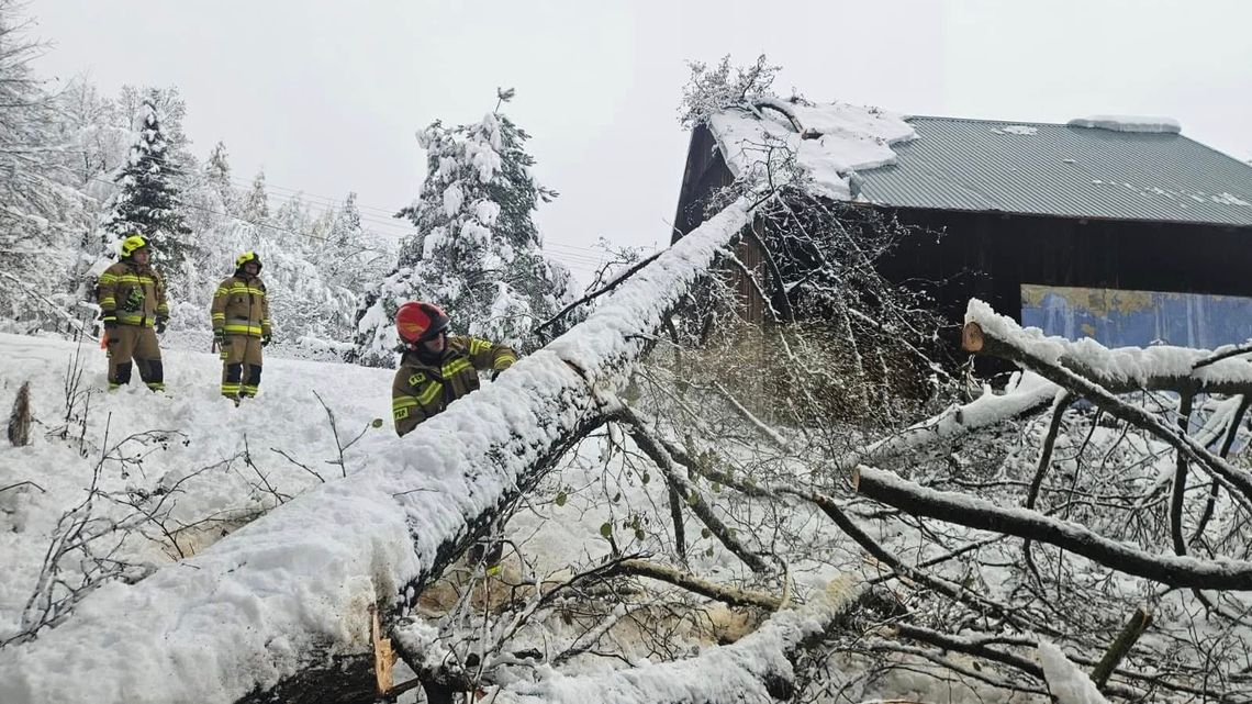 Ponad 1500 interwencji strażaków po intensywnych opadach śniegu na południu kraju Ponad 1500 interwencji strażaków po intensywnych opadach śniegu na południu kraju