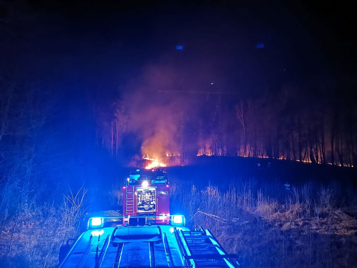 Ponad dwudziestu strażaków gasiło pożar w Morzychnie. Spłonęły dwa hektary nieużytków i zarośli