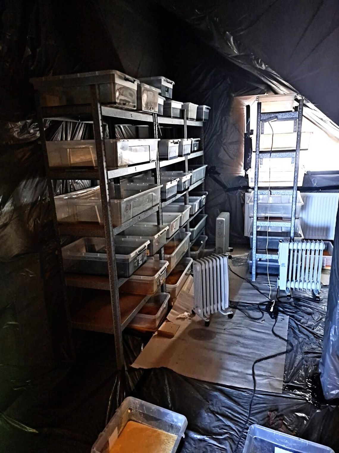 Potężne uderzenie małopolskich policjantów w narkobiznes. Ujawnili pół tony nielegalnych substancji o wartości 22,5 miliona złotych