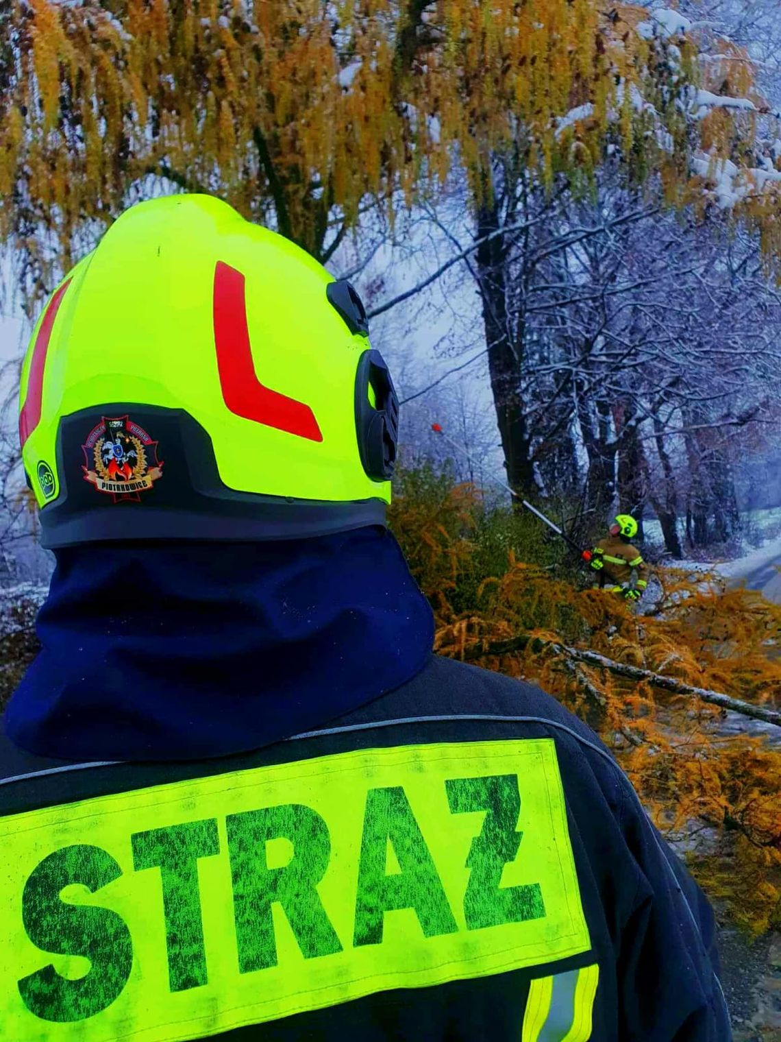 Powalone drzewa i nieprzejezdne drogi w regionie tarnowskim. Strażacy w pełnej gotowości