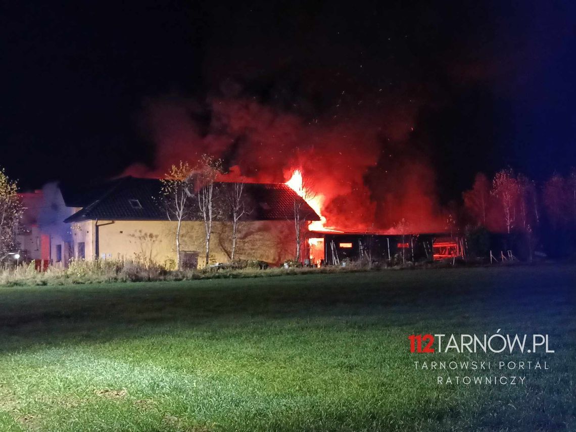 Pożar budynku gospodarczego w Łęgu Tarnowskim. Na miejscu liczne zastępy straży pożarnej