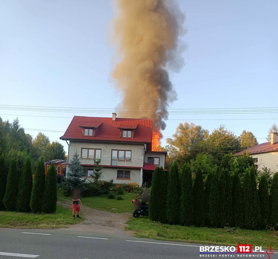 Pożar budynku gospodarczego w Tworkowej. Obiekt w całości w ogniu, utrudnienia na DK75 Pożar budynku gospodarczego w Tworkowej. Obiekt w całości w ogniu, utrudnienia na DK75