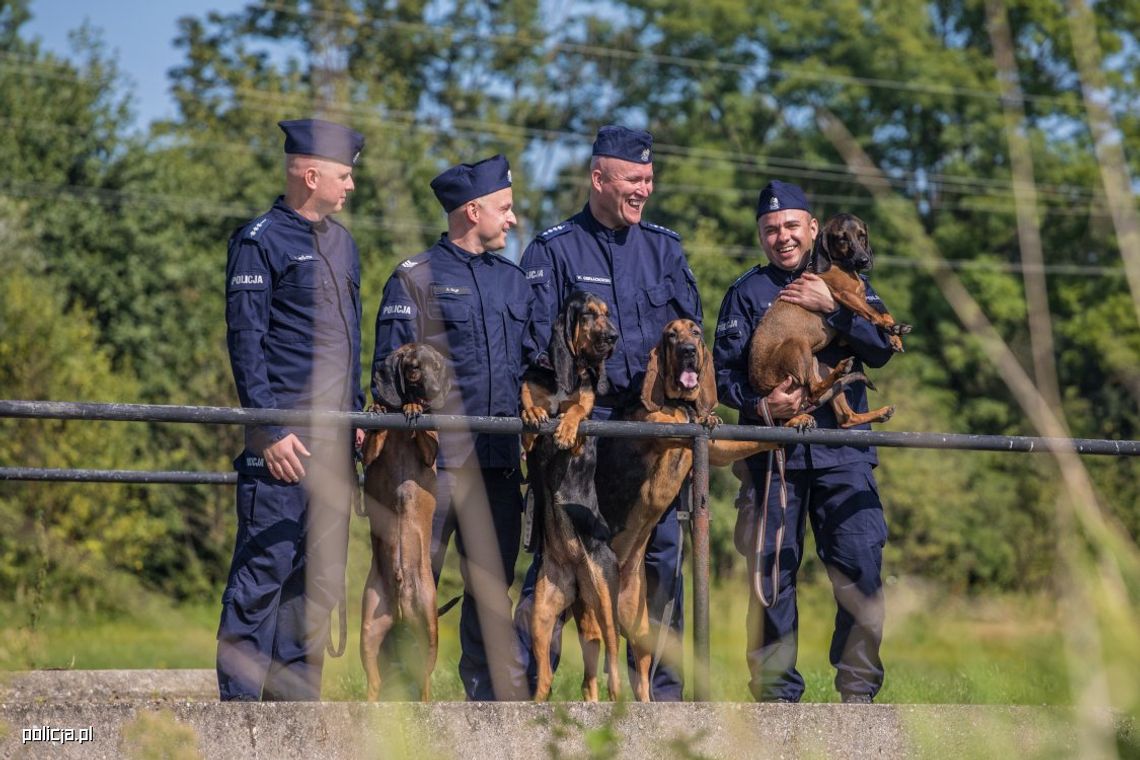 Psy policyjne. W całej Polsce jest ich prawie 900