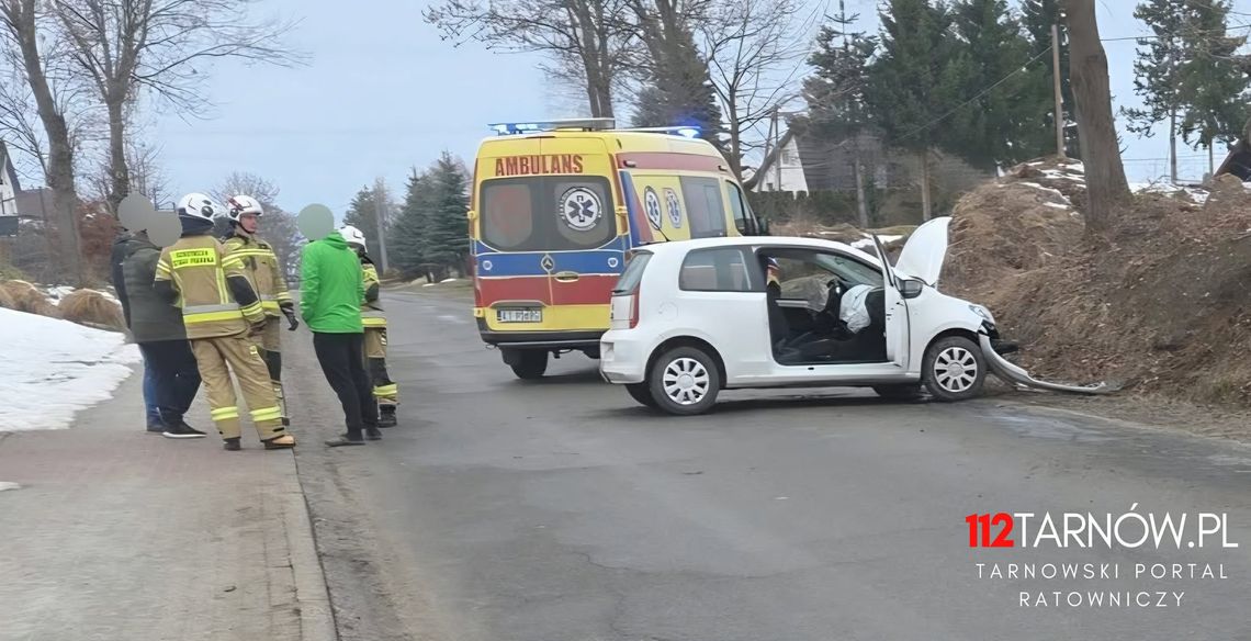 Samochód uderzył w drzewo. Akcja służb w Szerzynach