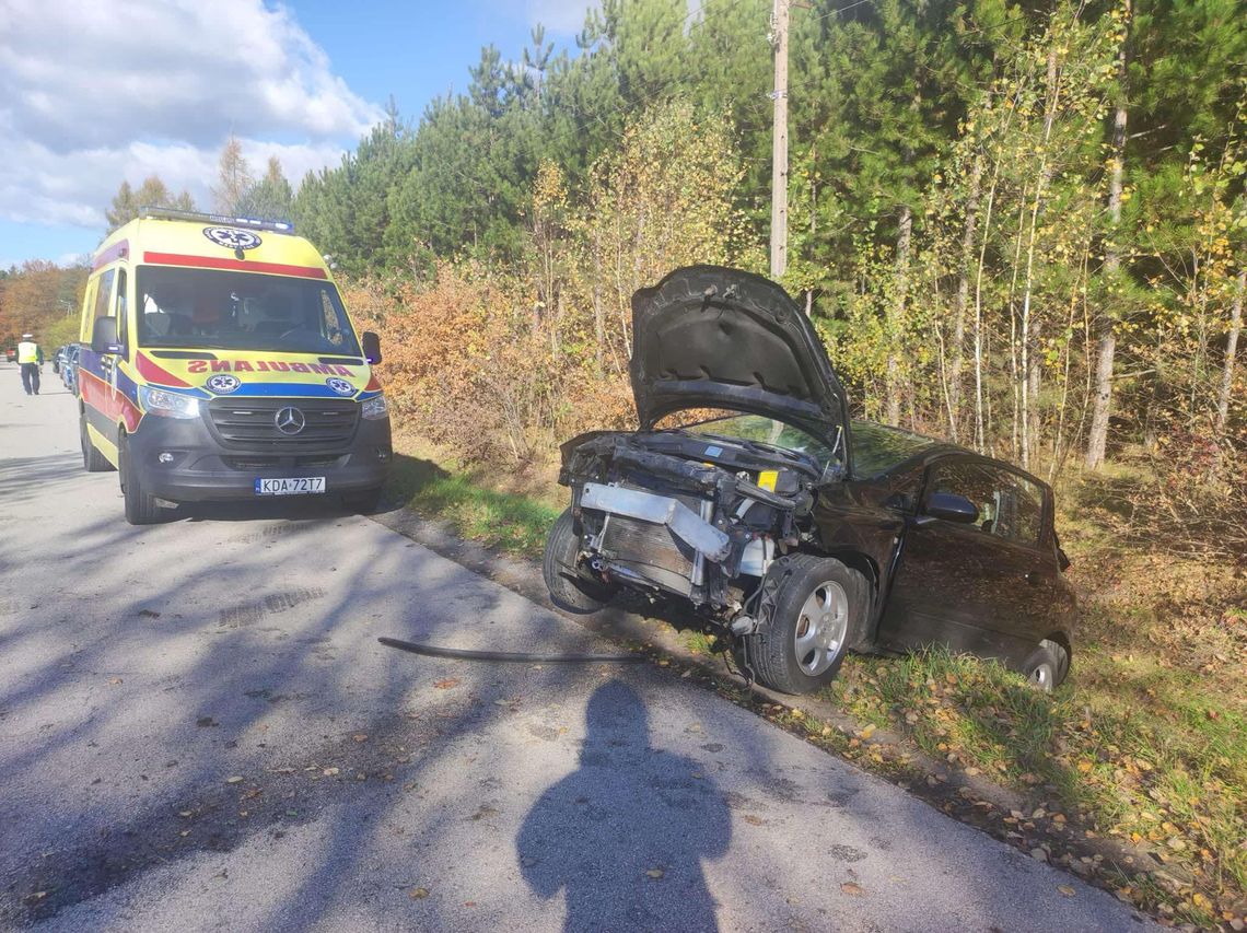 Samochód wypadł z drogi pod Szczucinem. Służby zawiadomił telefon