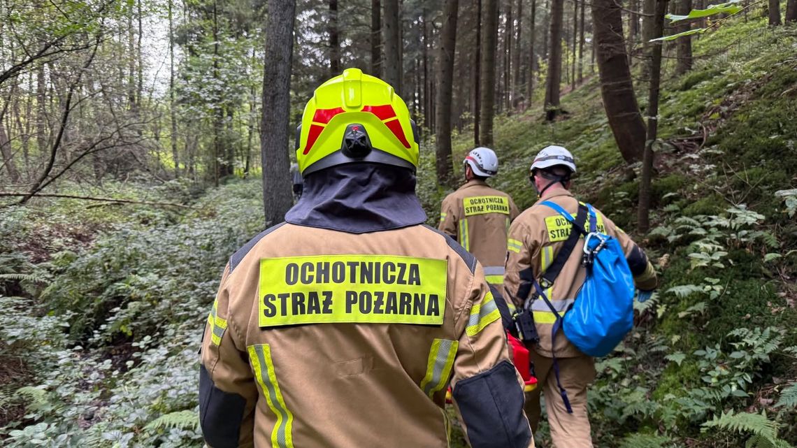 Strażacy pomogli poszkodowanej w Kąśnej Górnej. Kobieta spadła z wysokości w kompleksie leśnym