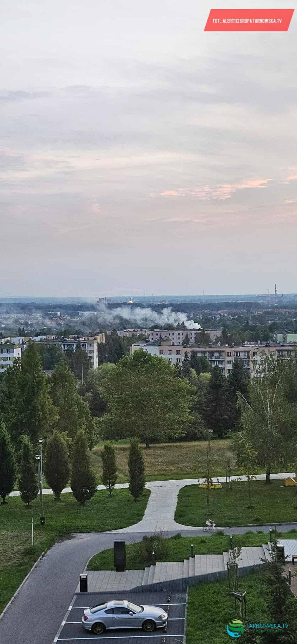 Strażacy szukali pożaru na jednym z osiedli w Tarnowie. Paliły się gałęzie przy ogródkach działkowych