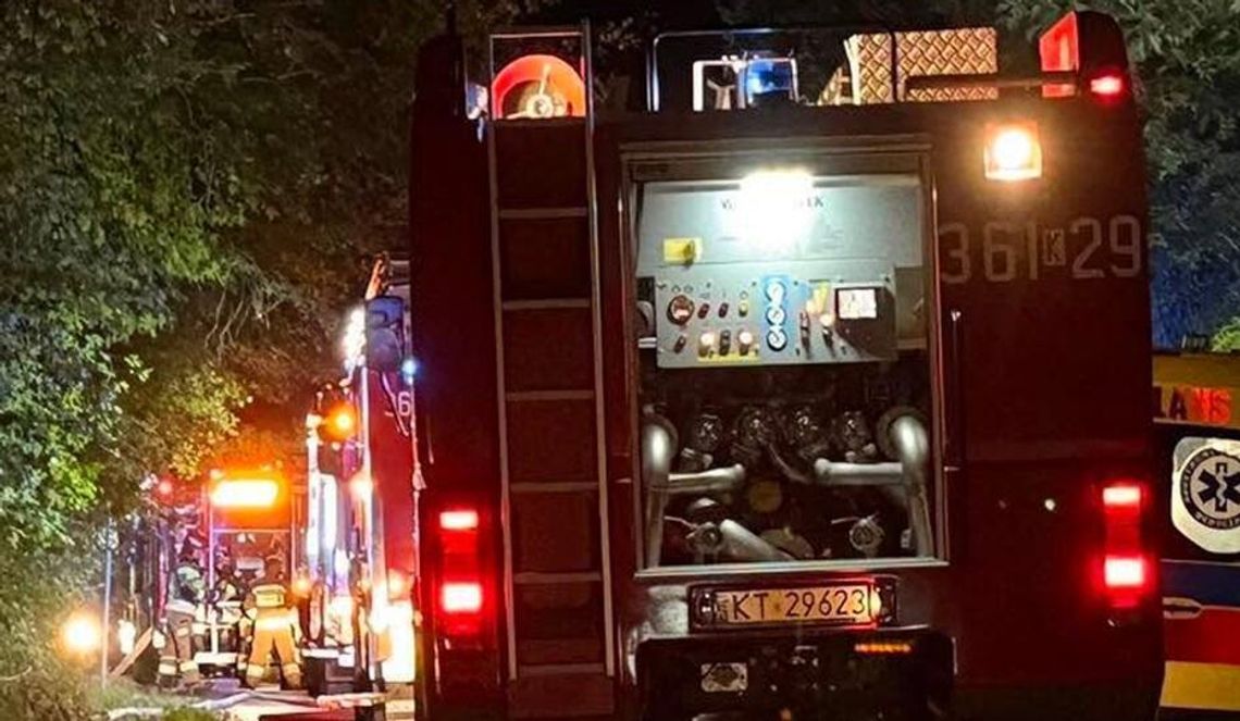 Tragiczny finał grzybobrania w Małopolsce! 51-latek nie wrócił do domu. W lesie odnaleziono jego ciało