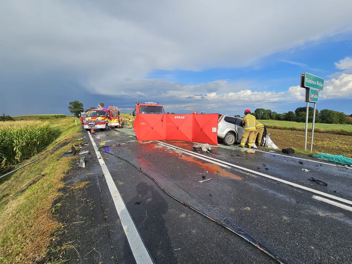 Tragiczny wypadek na DK79 w Książnicach Wielkich. Nie żyje około 60-letni kierowca osobówki Tragiczny wypadek na DK79 w Książnicach Wielkich. Nie żyje około 60-letni kierowca osobówki