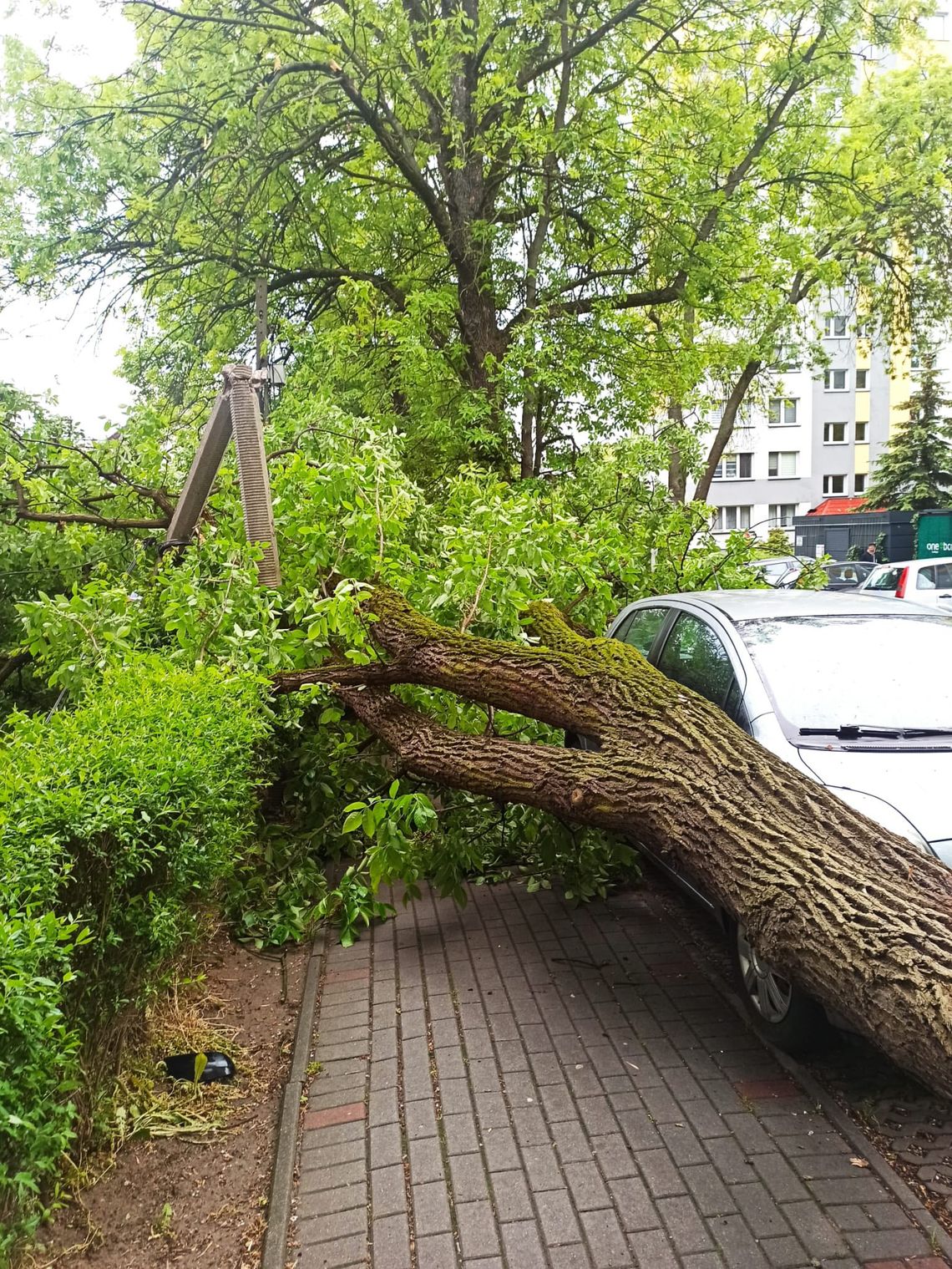Uszkodzone linie energetyczne i samochody w Tarnowie