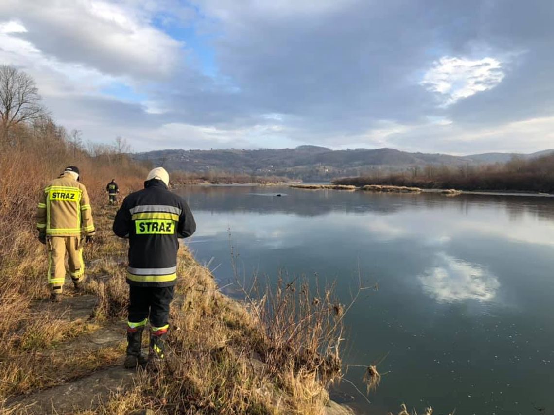 W Dunajcu znaleziono zwłoki mężczyzny. To poszukiwany od wtorku 83-latek