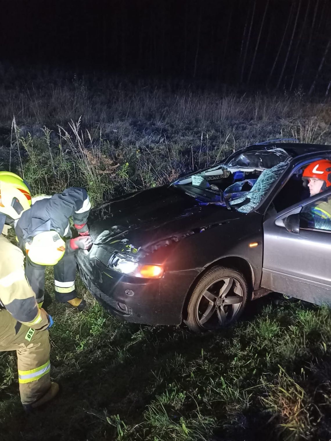 Wypadek w Smykowie. Samochód osobowy zderzył się z łosiem. Jedna osoba poszkodowana