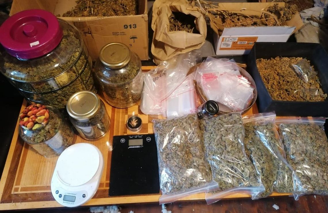 Zabezpieczono ponad 3,5 kilograma marihuany