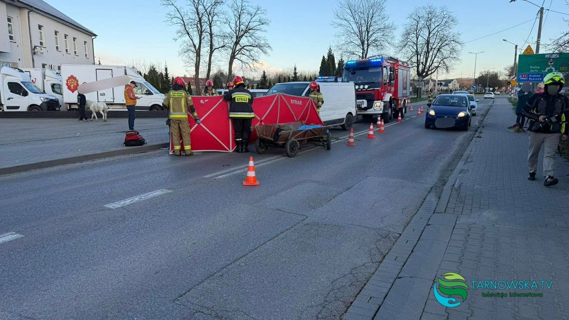 Zderzenie auta dostawczego z zaprzęgiem konnym w Tarnowie