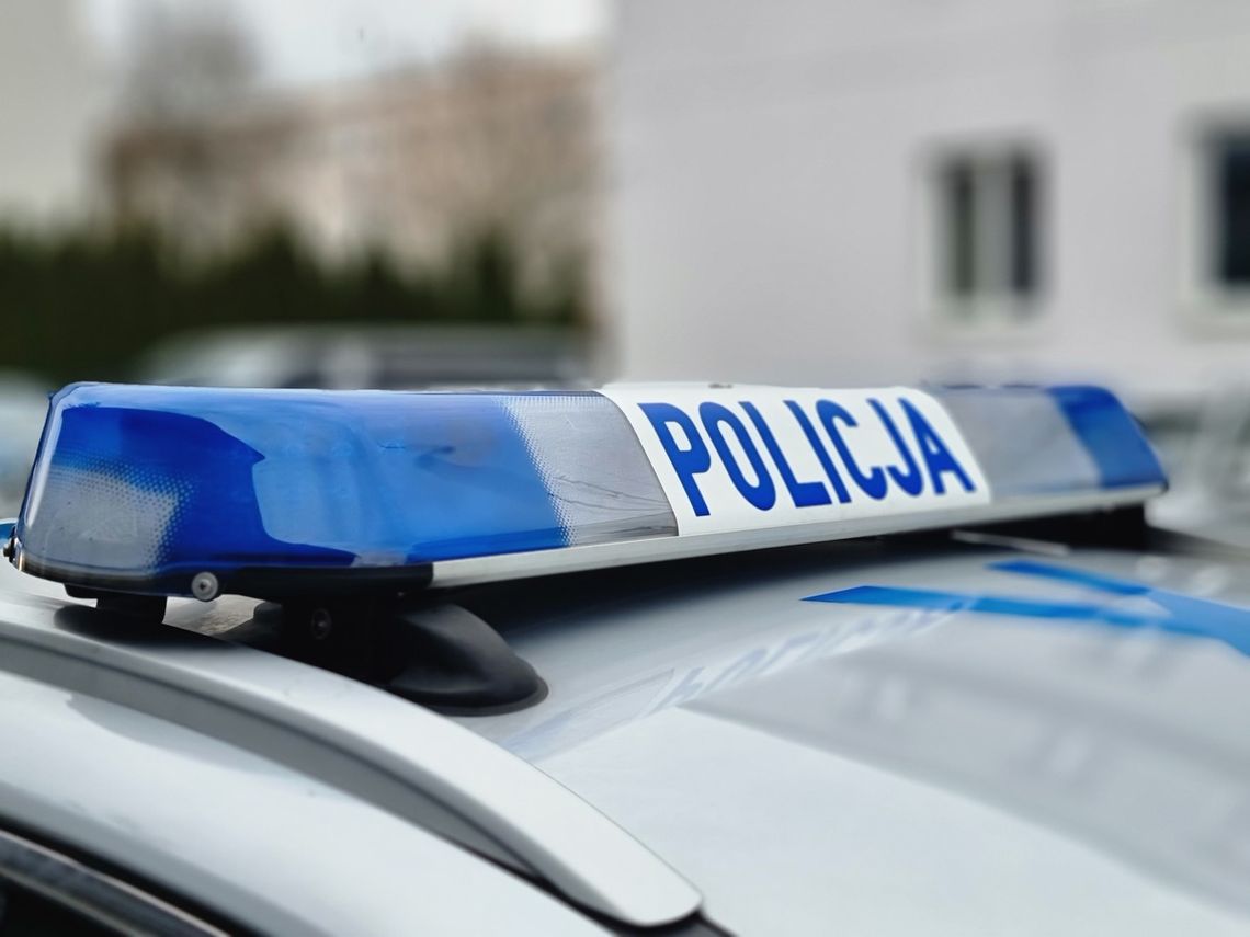 Znęcał się nad swoją partnerką - grozi mu deportacja