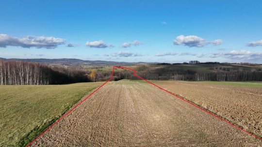 1,5- hektarowa działka w Ołpinach gmina Szerzyny 1,5- hektarowa działka w Ołpinach gmina Szerzyny