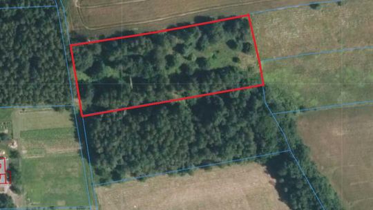 Działka 49 arowa w Olszowej gmina Zakliczyn