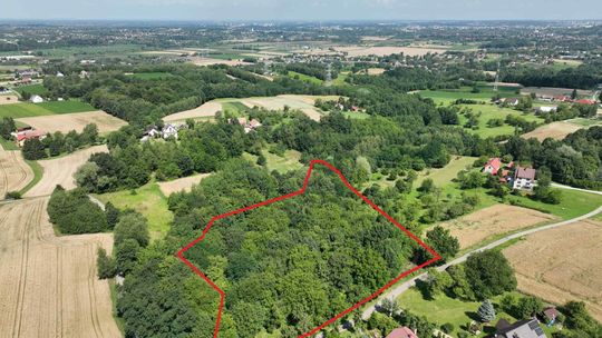 Działka 81 arów w Świebodzinie gm. Pleśna Działka 81 arów w Świebodzinie gm. Pleśna