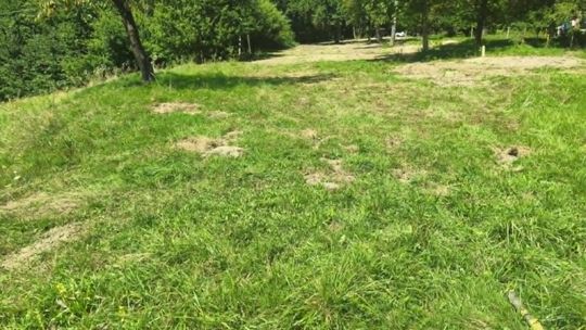 Działka budowlana w Janowicach -gm. Pleśna