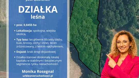 Las - Trzciana, powiat bocheński Las - Trzciana, powiat bocheński