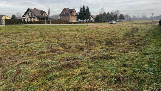 Na sprzedaż działka budowlana- Wola Dębińska Na sprzedaż działka budowlana- Wola Dębińska