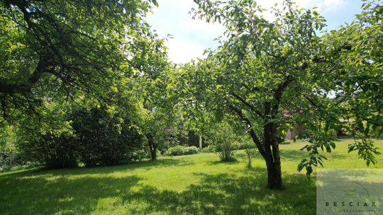 Ogrodzona działka 23 ary z ogrodem – Pleśna