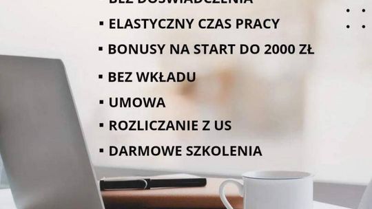 Praca stała lub dodatkowa zdalna, w domu, przez internet