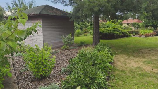 ROD Słonecznik w Tarnowie ul. Ostrogskich