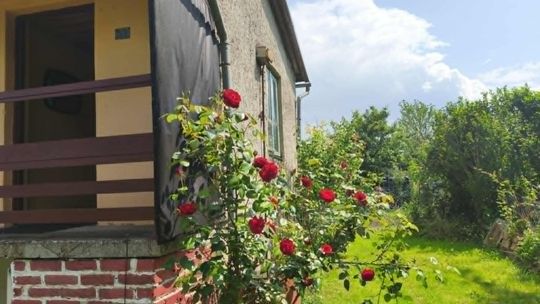 ROD Strumyk w Tarnowie ROD Strumyk w Tarnowie