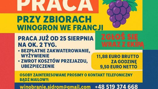 WINOBRANIE FRANCJA WINOBRANIE FRANCJA