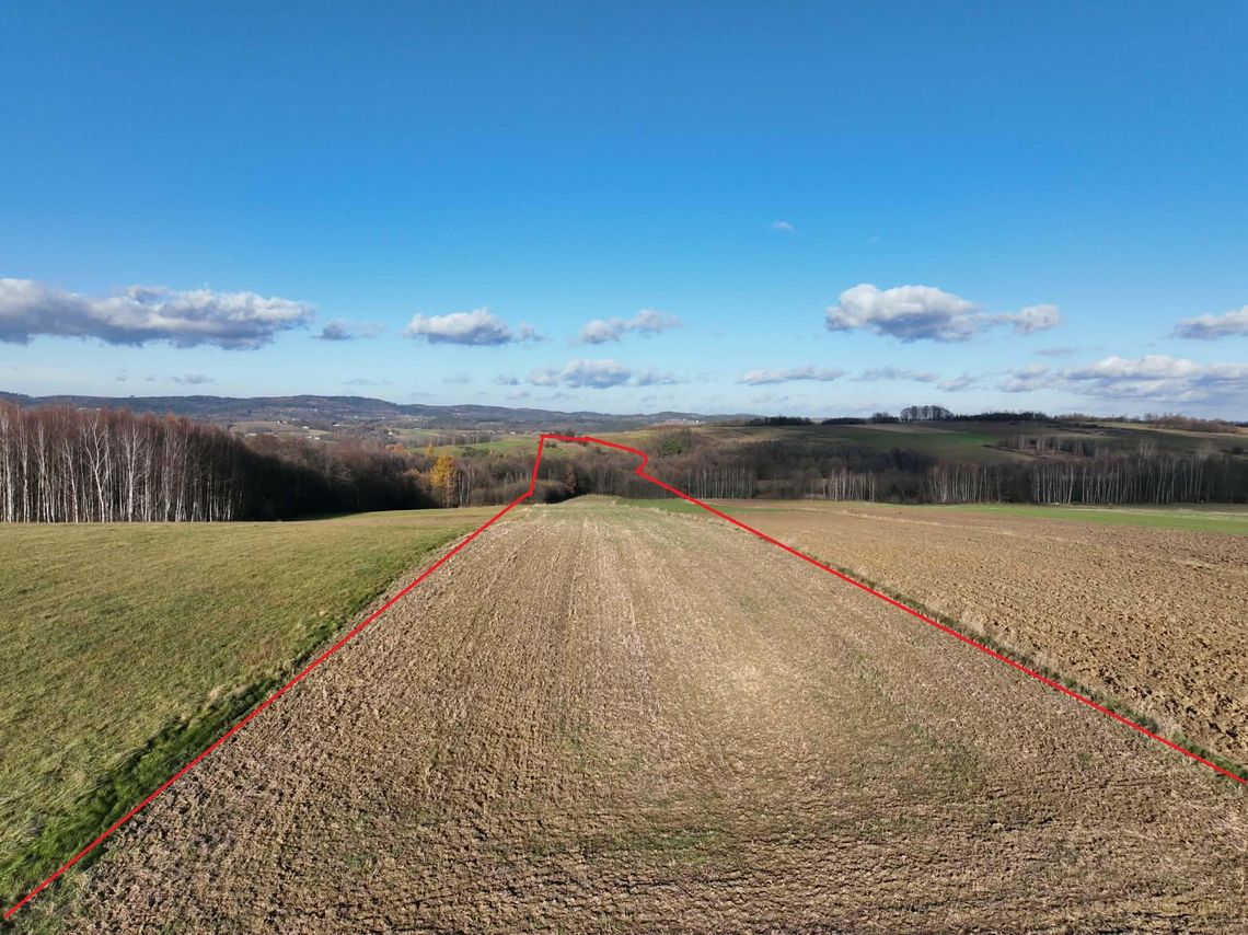 1,5- hektarowa działka w Ołpinach  gmina Szerzyny