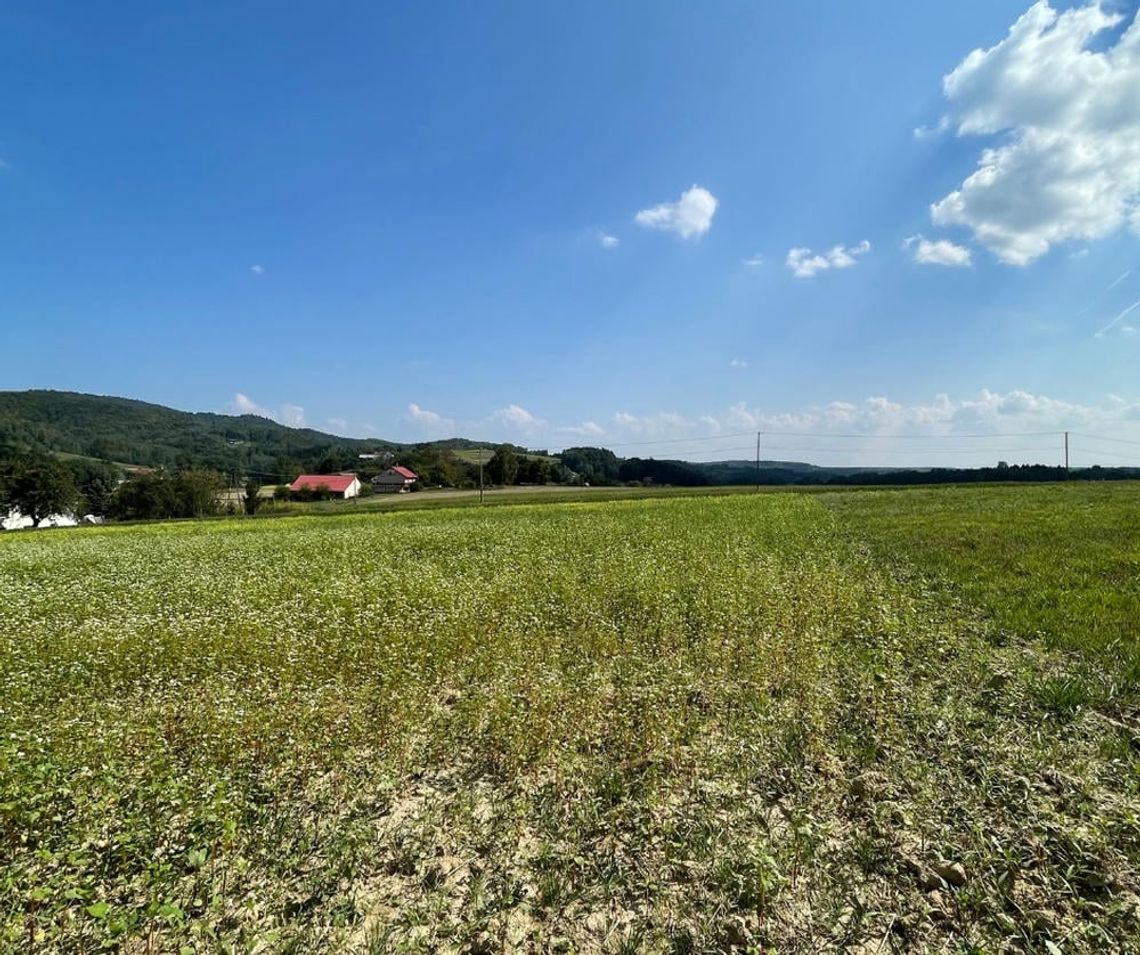 2 Działki budowlane w Czermnej