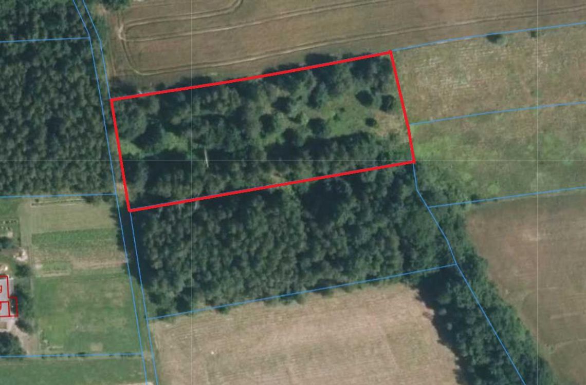 Działka 49 arowa w Olszowej gmina Zakliczyn