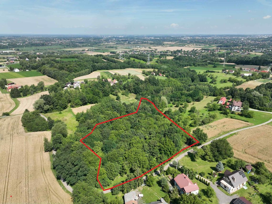 Działka 81 arów w Świebodzinie gm. Pleśna