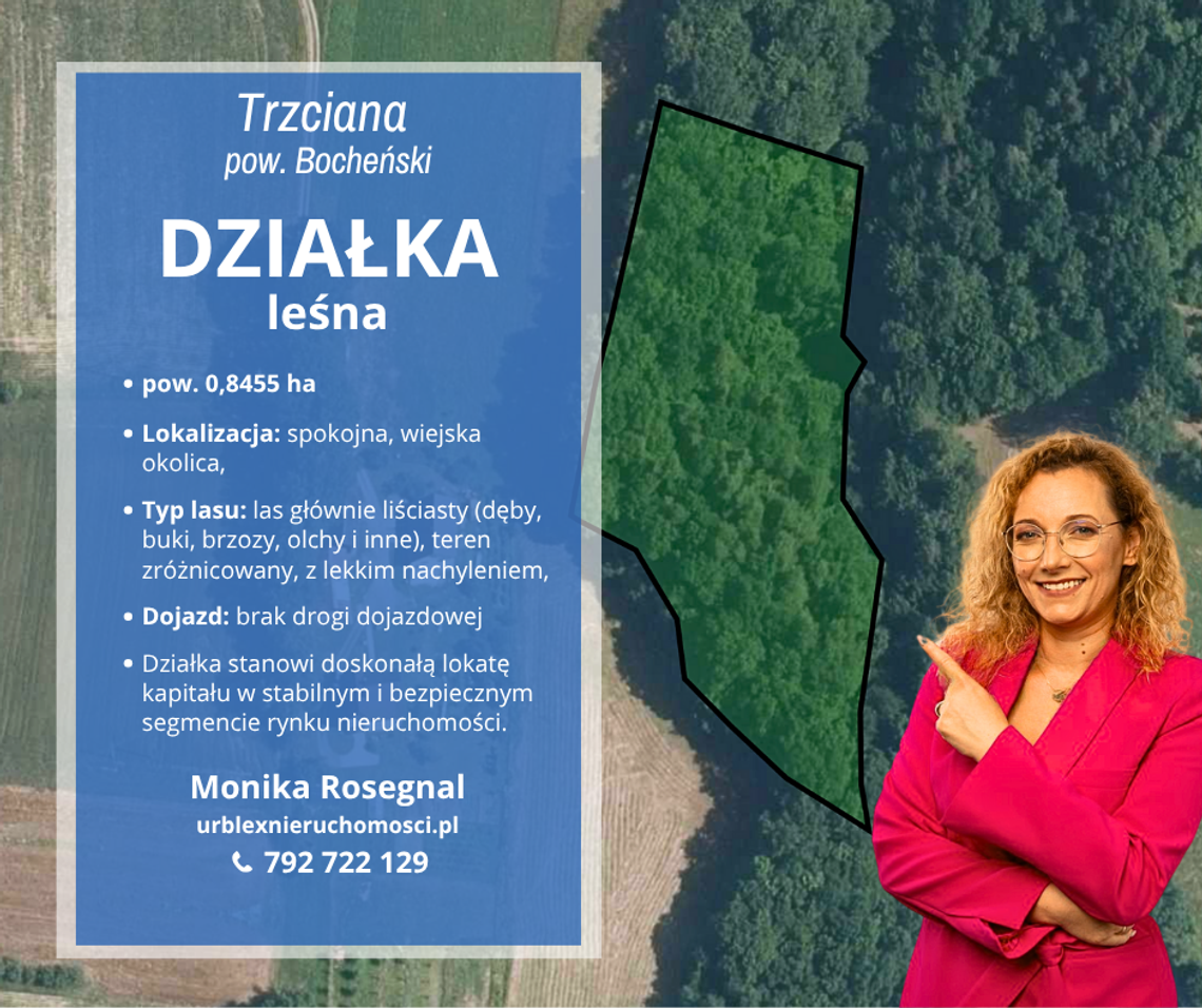 Las - Trzciana, powiat bocheński Las - Trzciana, powiat bocheński