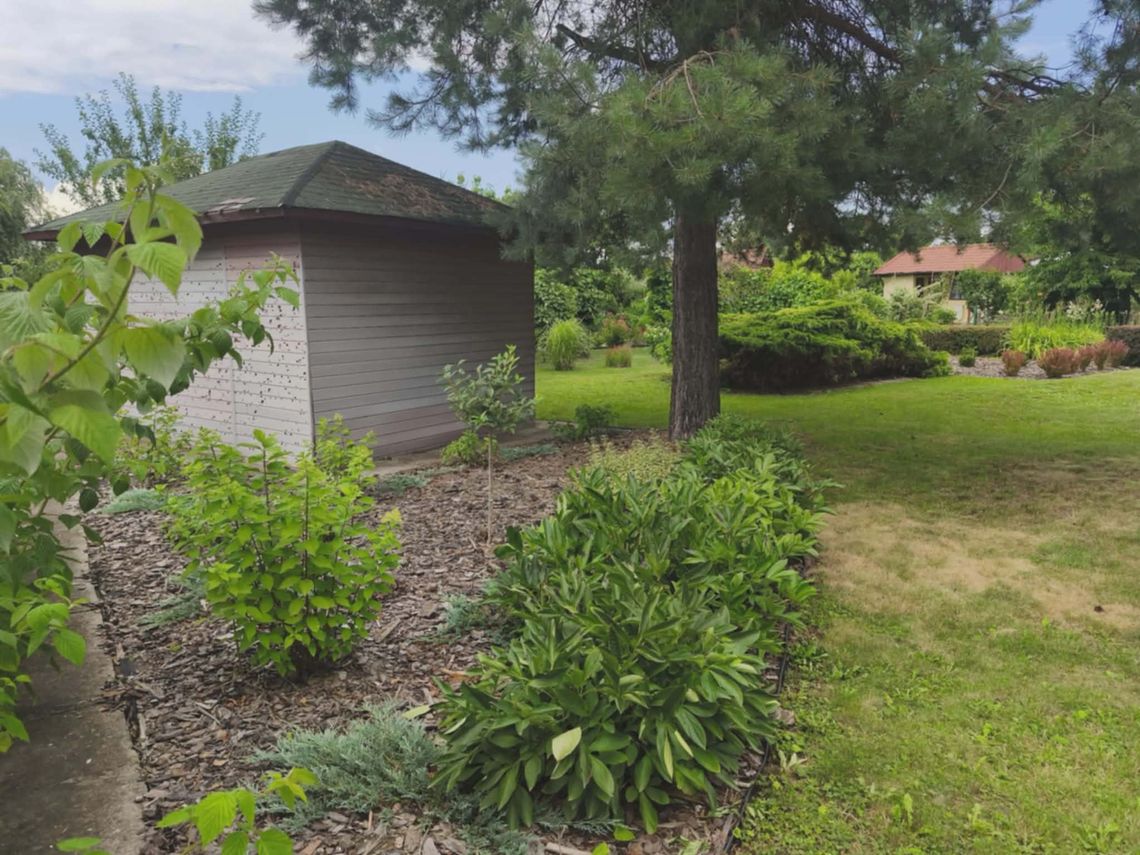 ROD Słonecznik w Tarnowie ul. Ostrogskich